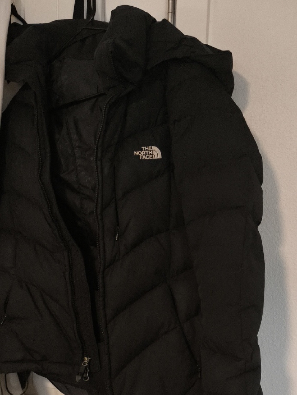 The North Face Black Down Hooded Jacket